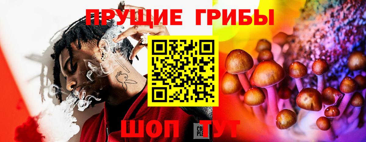 Галлюциногенные грибы GOLDEN TEACHER  Вход с VPN  купить наркоту  Чайковский  Галлюциногенные грибы мухоморы 